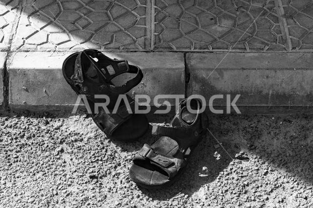 صندل تحت أشعة الشمس