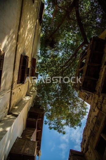 historical city jeddah saudi arabia