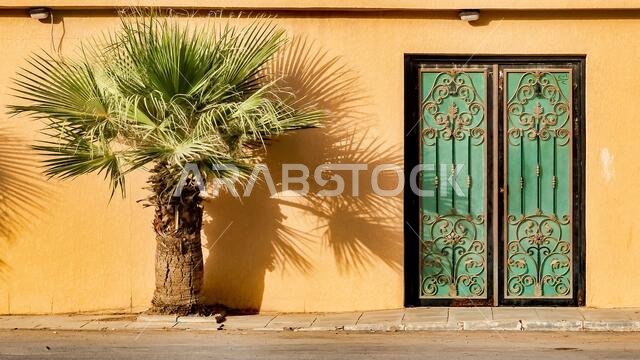 شجرة نخيل وباب في وقت متأخر من بعد الظهر