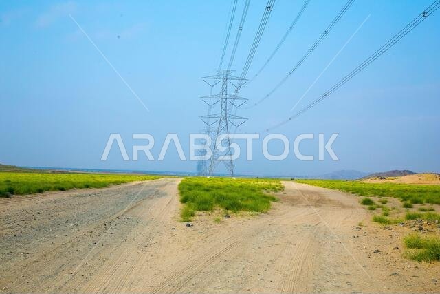 الطرق الصحراوية في المملكة العربية السعودية