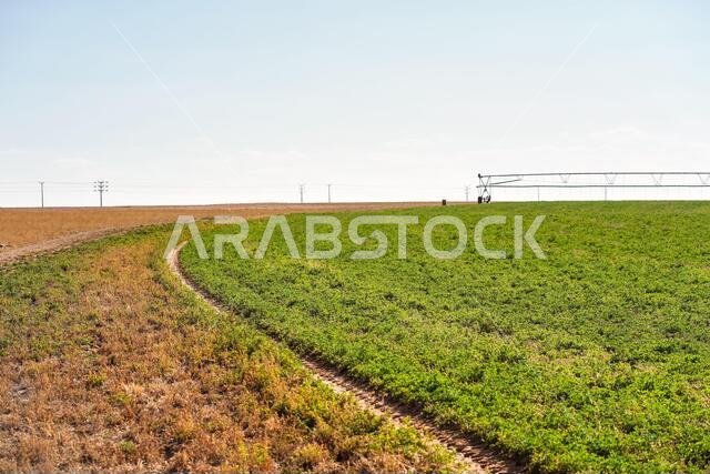 Landscape shot of agriculture fields irrigated with groundwater in desert area in northern Saudi Arabia