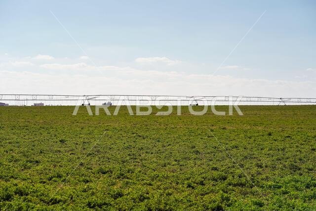 Landscape shot of agriculture fields irrigated with groundwater in desert area in northern Saudi Arabia
