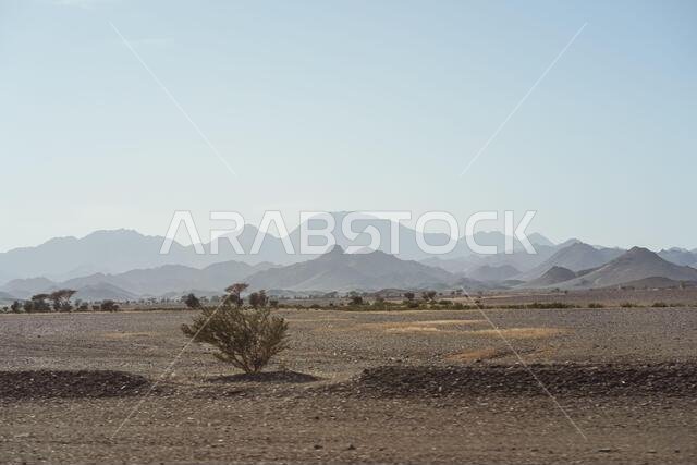 bleak desert landscape of reddish sands with mountain and rock formations in northern Saudi Arabia