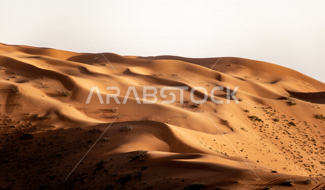 صورة جمالية للكثبان الرملية الصحراوية بالمملكة العربية السعودية، الرمال الذهبية في صحراء السعودية، صحاري السعودية، مناطق صحراوية، الطبيعة الصحراوية في السعودية ، السياحة في السعودية