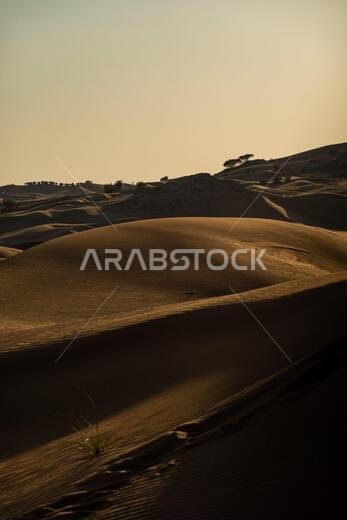Scenic landscapes in Dubai desert on sunny day