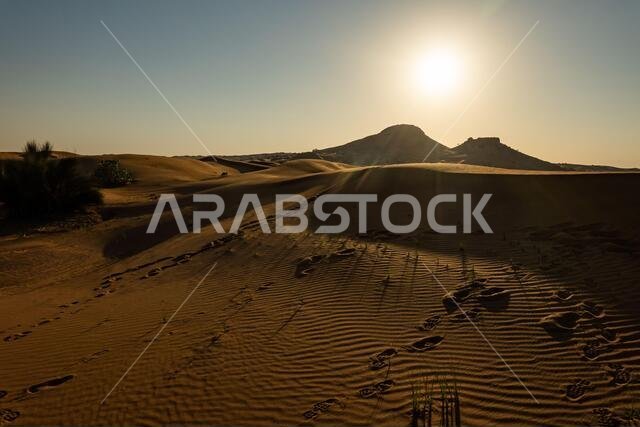 Scenic landscapes in Dubai desert on sunny day