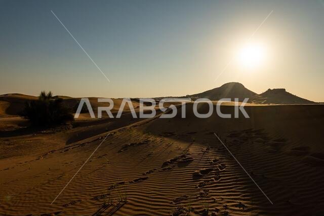 Scenic landscapes in Dubai desert on sunny day