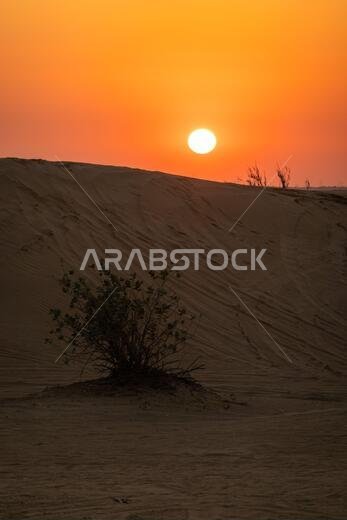 Scenic landscapes of Dubai desert during sunset