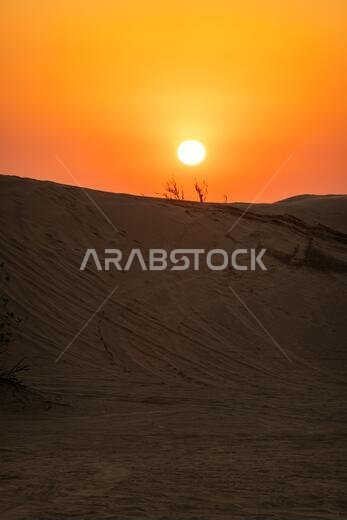 Scenic landscapes of Dubai desert during sunset