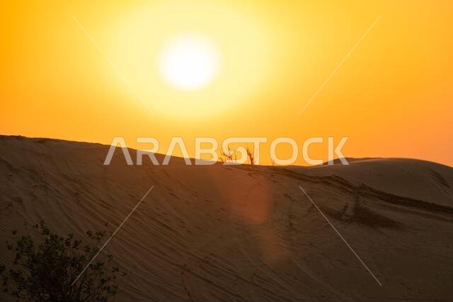 Scenic landscapes of Dubai desert during sunset