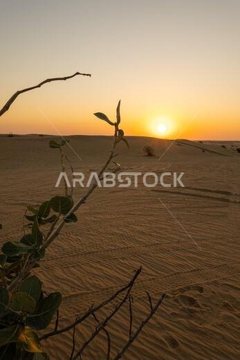 Scenic landscapes of Dubai desert during sunset