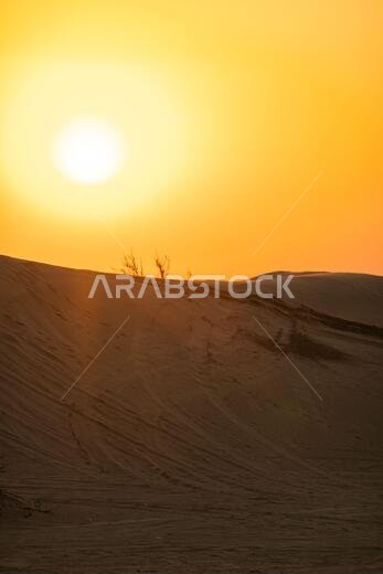 Scenic landscapes of Dubai desert during sunset