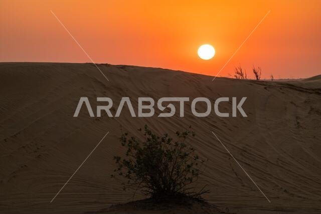 Scenic landscapes of Dubai desert during sunset