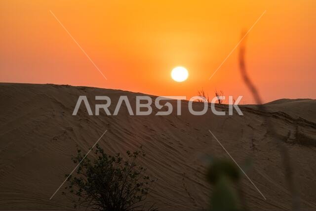 Scenic landscapes of Dubai desert during sunset