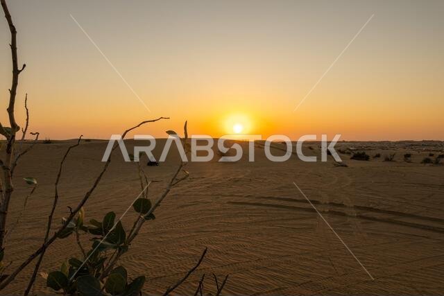 Scenic landscapes of Dubai desert during sunset