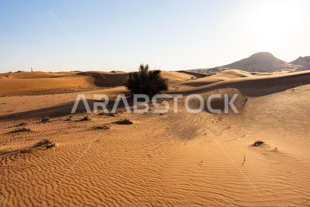 Scenic landscapes in Dubai desert on sunny day