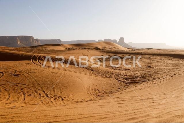Red sand dunes called Red Sands south of Riyadh. You can see the lanes of quads because the dunes are a popular destination for people to drive around