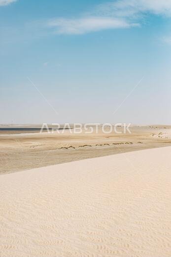 تمتد الصحراء في جنوب قطر إلى خور العديد أو البحر الداخلي، وهو جزء من الخليج العربي.