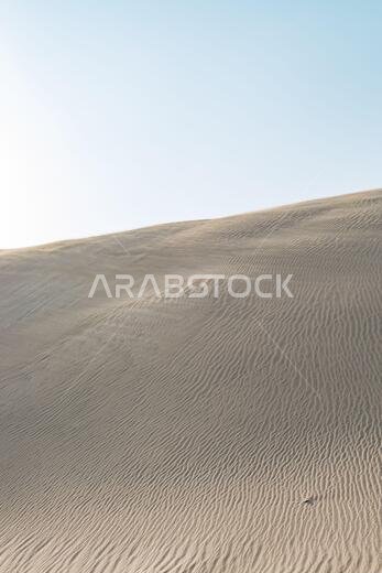 تُعدّ الصحراء الواقعة جنوب قطر امتداداً للربع الخالي الذي يمتد عبر المملكة العربية السعودية والإمارات العربية المتحدة وصولاً إلى عُمان واليمن.