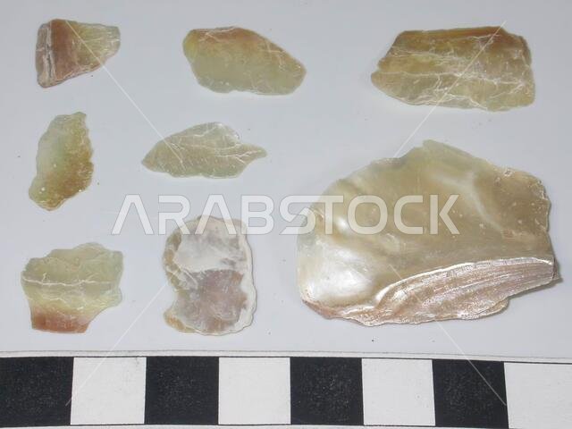 ثماني قطع من الصدف. عرق اللؤلؤ من داخل الصدف. أحجام متفاوتة. غير معالجة. صدفة عضوية، أكبر حجم: 3.8 × 2.8 سم، أصغر حجم: 1.2 × 1.1 سم، المملكة العربية السعودية