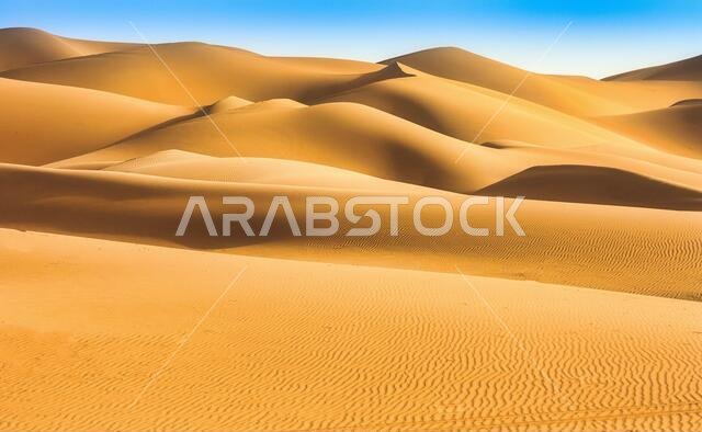 Dramatic sand duns view of Liwa Desert in the western region of Abu Dhabi, UAE