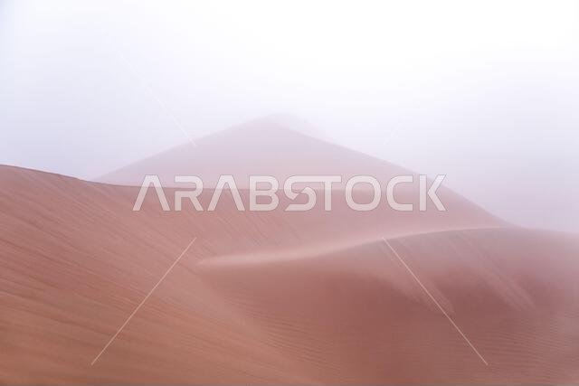 Abstract image of a patterned sand dune in dense fog on a winter morning. Liwa desert, Abu Dhabi, United Arab Emirates.