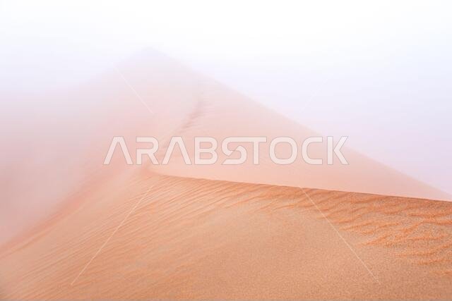 صورة تجريدية لكثيب رملي ذي نقوش مميزة في ضباب كثيف صباح شتوي. صحراء ليوا، أبو ظبي، الإمارات العربية المتحدة. صورة تجريدية لكثيب رملي ذي نقوش مميزة في ضباب كثيف صباح شتوي. صحراء ليوا، أبو ظبي، الإمارات العربية المتحدة.