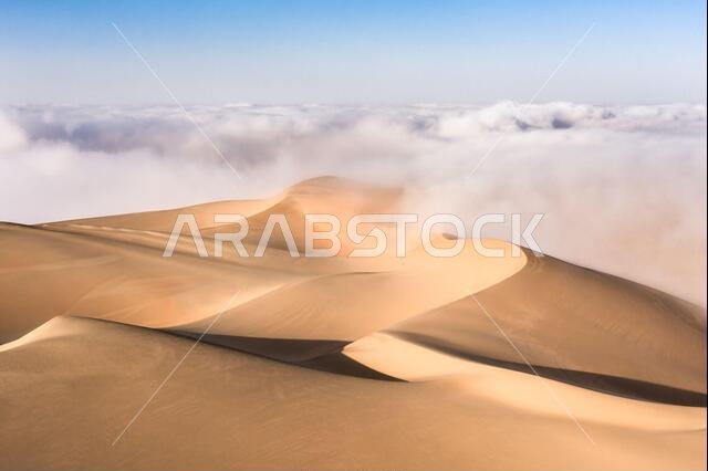 Dense fog covering desert landscape early winter morning. Liwa desert, Abu Dhabi, United Arab Emirates.