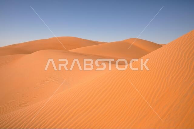منظر طبيعي تجريدي لكثبان صحراوية في يوم مشمس. صحراء ليوا، أبو ظبي، الإمارات العربية المتحدة. منظر طبيعي تجريدي لكثبان صحراوية في يوم مشمس. صحراء ليوا، أبو ظبي، الإمارات العربية المتحدة.