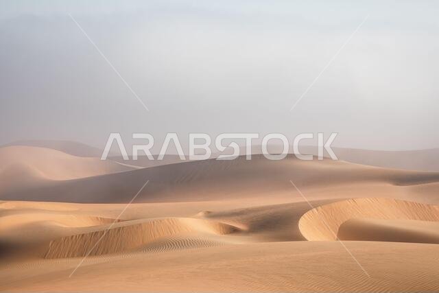 Dense fog covering desert landscape early winter morning. Liwa desert, Abu Dhabi, United Arab Emirates.