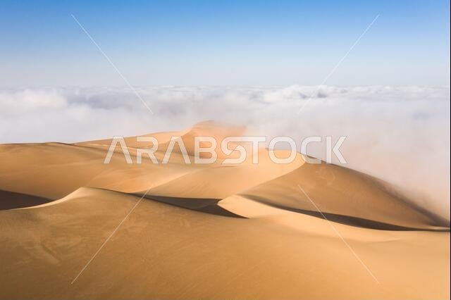 Dense fog covering desert landscape early winter morning. Liwa desert, Abu Dhabi, United Arab Emirates.