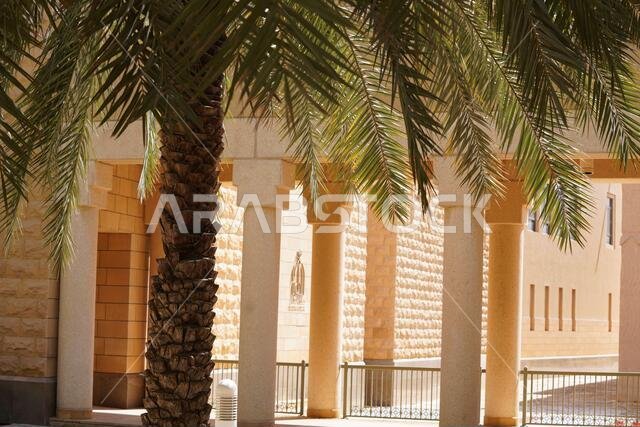 الرياض - الرياض / المملكة العربية السعودية - 7 مارس 2020: منظر لقصر المربع، وهو مبنى تاريخي الرياض - الرياض / المملكة العربية السعودية - 7 مارس 2020: منظر لقصر المربع، وهو مبنى تاريخي