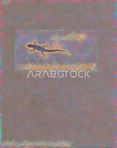 Pristurus flavipunctatus, Print, Pristurus flavipunctatus, also known as Rüppell’s semaphore gecko or Middle Eastern rock gecko, is a species of lizard in the Sphaerodactylidae family found in Ethiopia, Saudi Arabia, Egypt, Djibouti, Somalia, Sudan, Eritrea, and Jordan., 1700-1880, Reimagined by Gibon, design of warm cheerful glowing of brightness and light rays radiance. Classic art reinvented with a modern twist. Photography inspired by futurism, embracing dynamic energy of modern technology, 