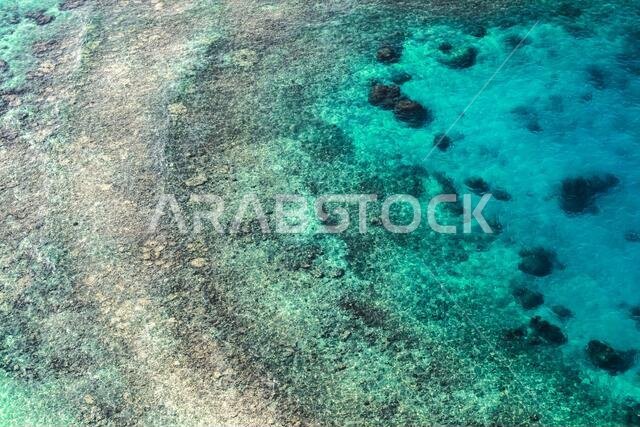 Coastal landscape of Persian Gulf, rocky seabed is under blue shallow water. Natural photo. Bird eye view