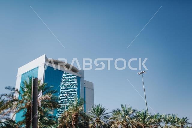 سماء وأشجار نخيل. منظر طبيعي لمدينة الرياض في المملكة العربية السعودية - الرياض
