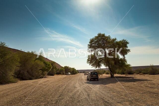 Edge of the world trip travel- Riyadh, Saudi Arabia. Clicked on 8th November 2019. Convey cars traveling to Edge of the world Riyadh Saudi Arabia thro