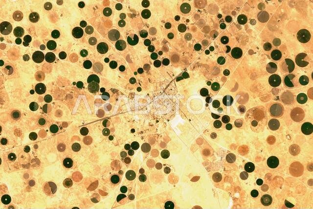 High resolution satellite image of irrigation structures at Qaryat al-Ulya, Saudi Arabia  - contains modified Copernicus Sentinel Data (2020)