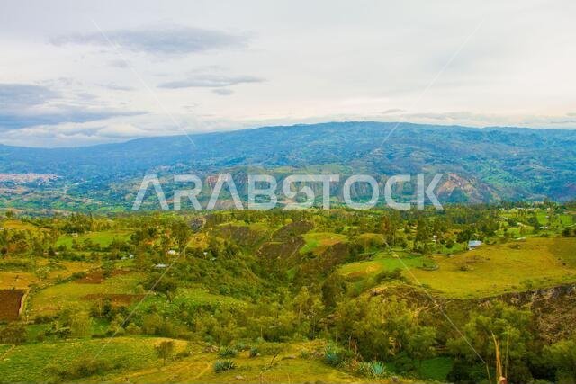 Andean landscape