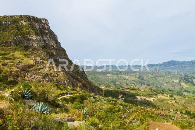 Andean landscape