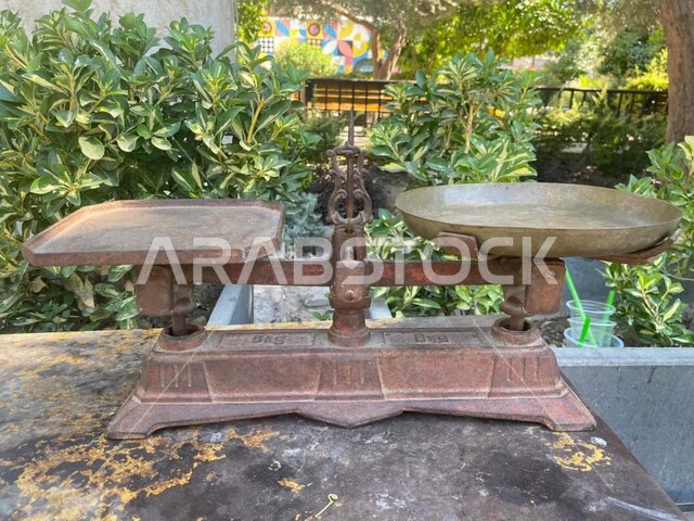 Close-up of antique antiques, creative antiques, antique antique scale, nature background, antique scale palm, antiques and antiques