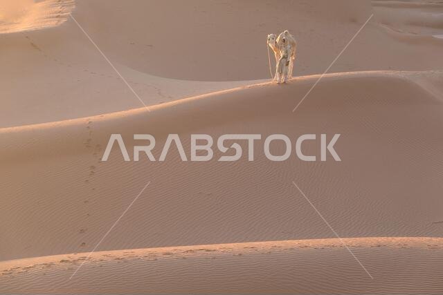 Bedouin and camel on way through sandy desert Beautiful sunset with caravan on Sahara, Morocco Desert with camel and nomads Silhouette nomad man