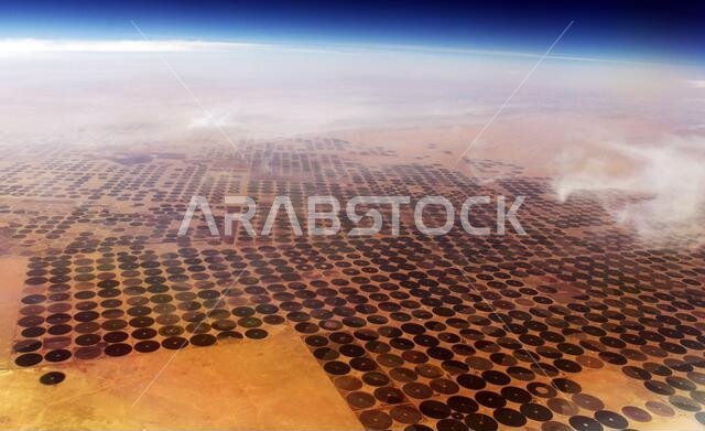 Aerial view of circular agriculture fields in the Arabian desert in the UAE.