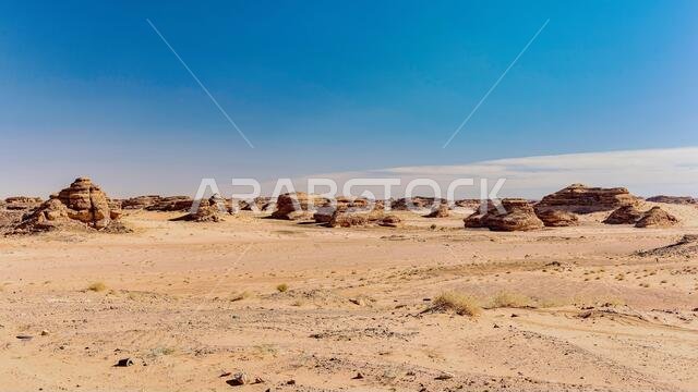 Desert scene-wide view