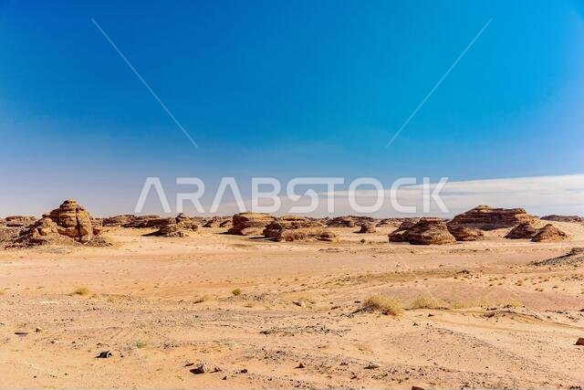 Desert scene-wide view
