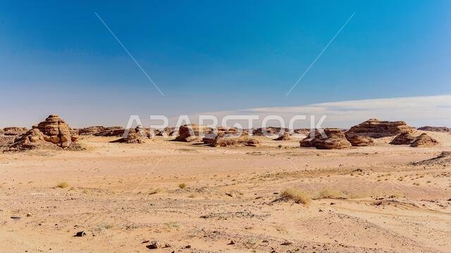 Desert landscape