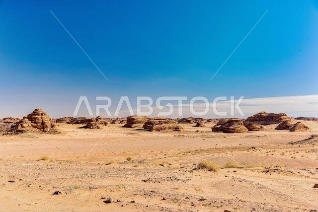 Desert landscape Desert landscape