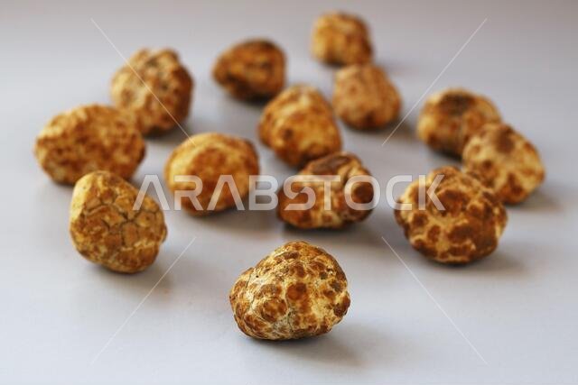 Desert truffles from Kuwait, Saudi Arabia, Iraq and Iran