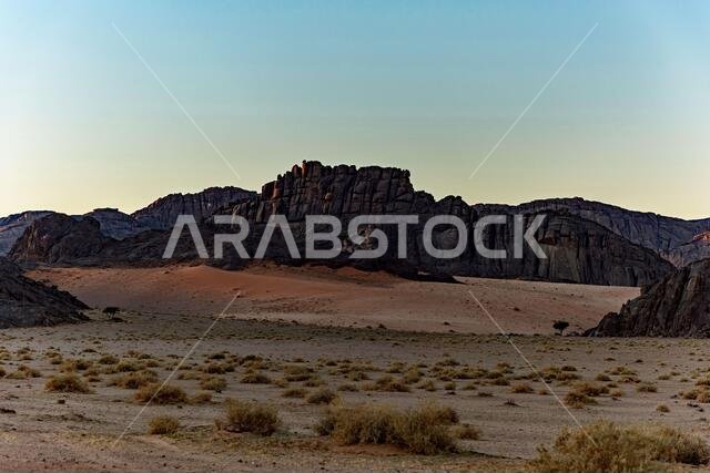 Desert landscapes
