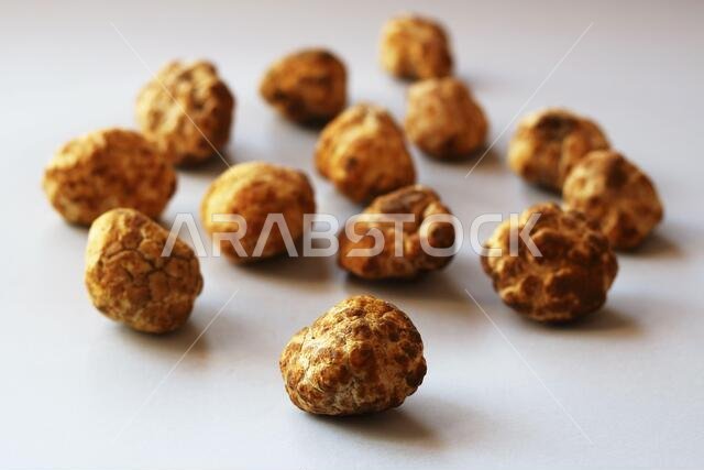 Desert truffles from Kuwait, Saudi Arabia, Iraq and Iran