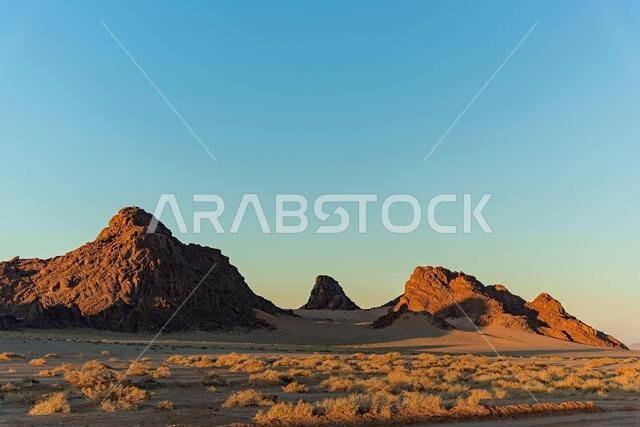 Desert landscapes